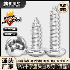 PA鉄ニッケルメッキ十字丸頭タッピングねじ小ねじ盤頭タッピングタッピングピンm 2m 2.5m 3m 4m 5m 6