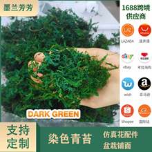 Ⱦɫ��̦΢���^���Bƿ�쾰�����廨����辰��������Ƥ��̦�\