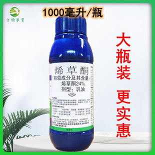 24%ϩ��ͪϡ���~ϩ�ݞ�ϩ���~ϣ��ͪϡ��ͪ���Ͳ��������݄�