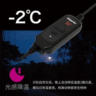 �����ӟ�|���׃�l�{���Ԏ��ؿؼӟ�|�،m�������������B����