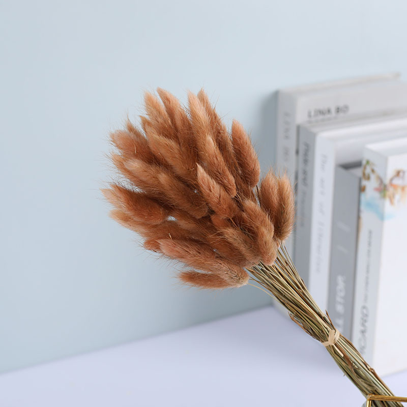 La flor eterna de la flor de la cola de conejo hierba seca 60 piezas al por mayor Dogtail hierba seca ramo de flores decoración DIY conejo hierba de la cola