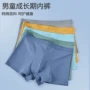 青少年盒装抑菌学生平角裤