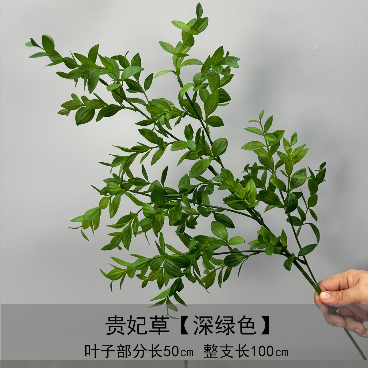 Hierba concubina - verde oscuro