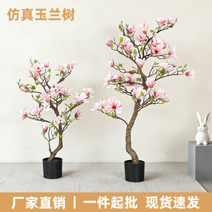 ����Gֲ���m�������ԼҾӾƵ��҃��b�ֲ��[���͏d��ˇ�٘��辰