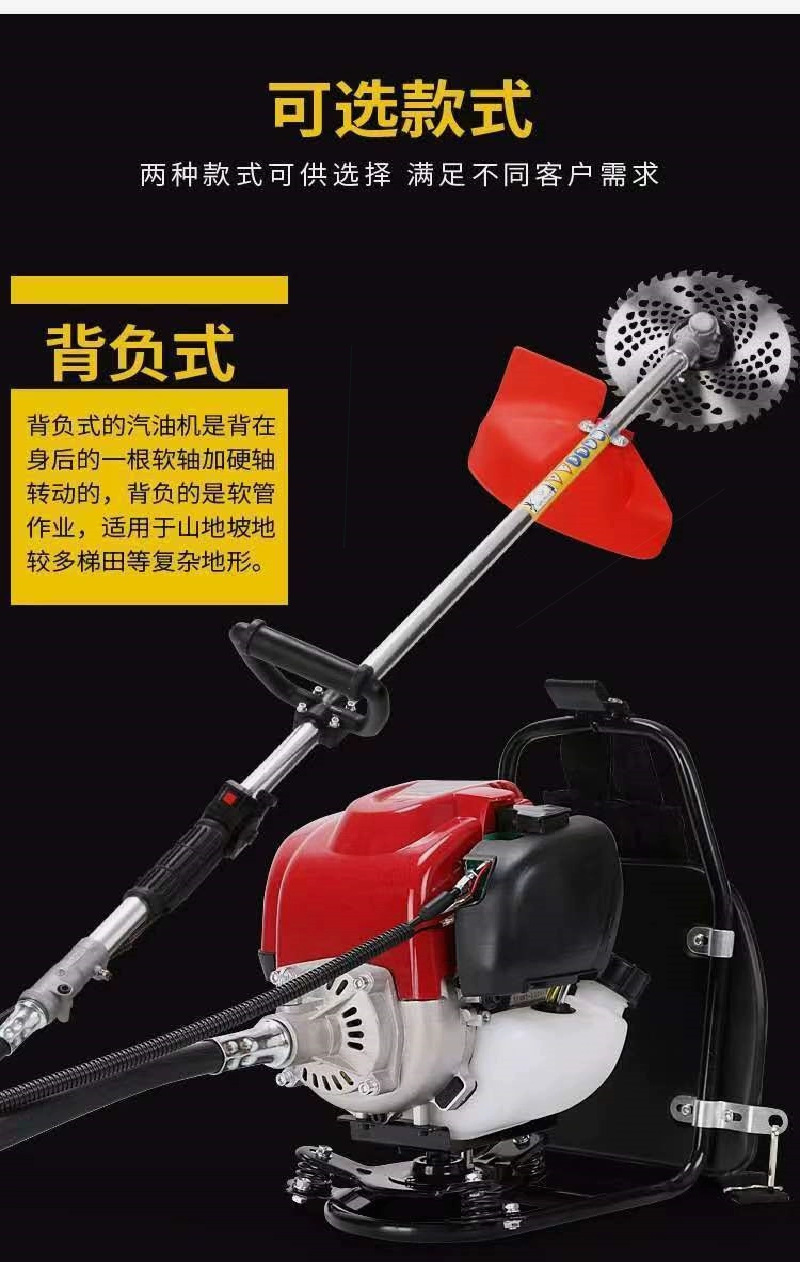微信图片_20240723103503.png