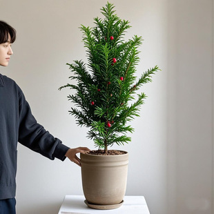 �Ϸ��t��ɼ�����辰�Ϙ������҃ȴ��ͻ����}�Q������С�Gֲ