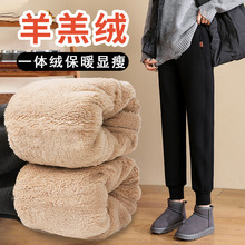 ޺qѝŮﶬ2024¿ӽqѝeůѝѝ