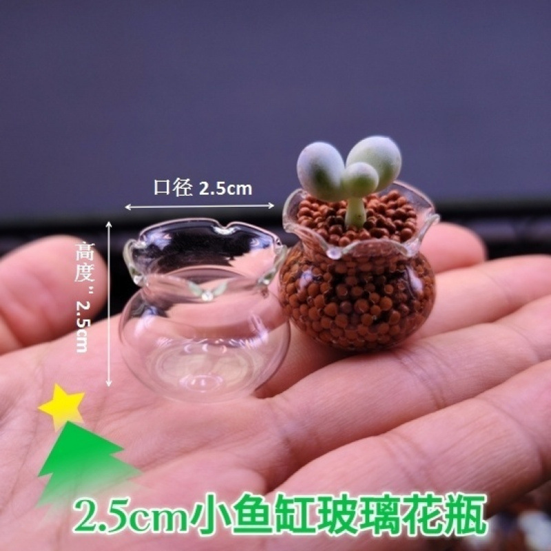 【多肉植木鉢ミニガラス】レース水槽親指鉢高颜値花園バルコニー超萌えかわいいフレッシュ|undefined
