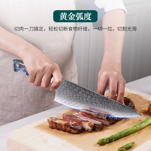 Fengjin Damascus Chef Knife Household 9cr Steel Slicing Knife Resin Shell Handle Cooking Knife Kitchen Cattle Knife