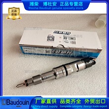 潍柴WP10柴油发动机铲车50装载机电喷博世 原厂1000400254喷油器