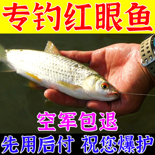 �t���~�D��Ұឌ��������V�ྦ�~Ұ���~�t���~�D�����l�h