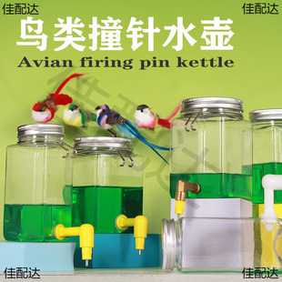 striker drinker bird cup rutin chicken kettle automatic large capacity pet hibiscus bird phage