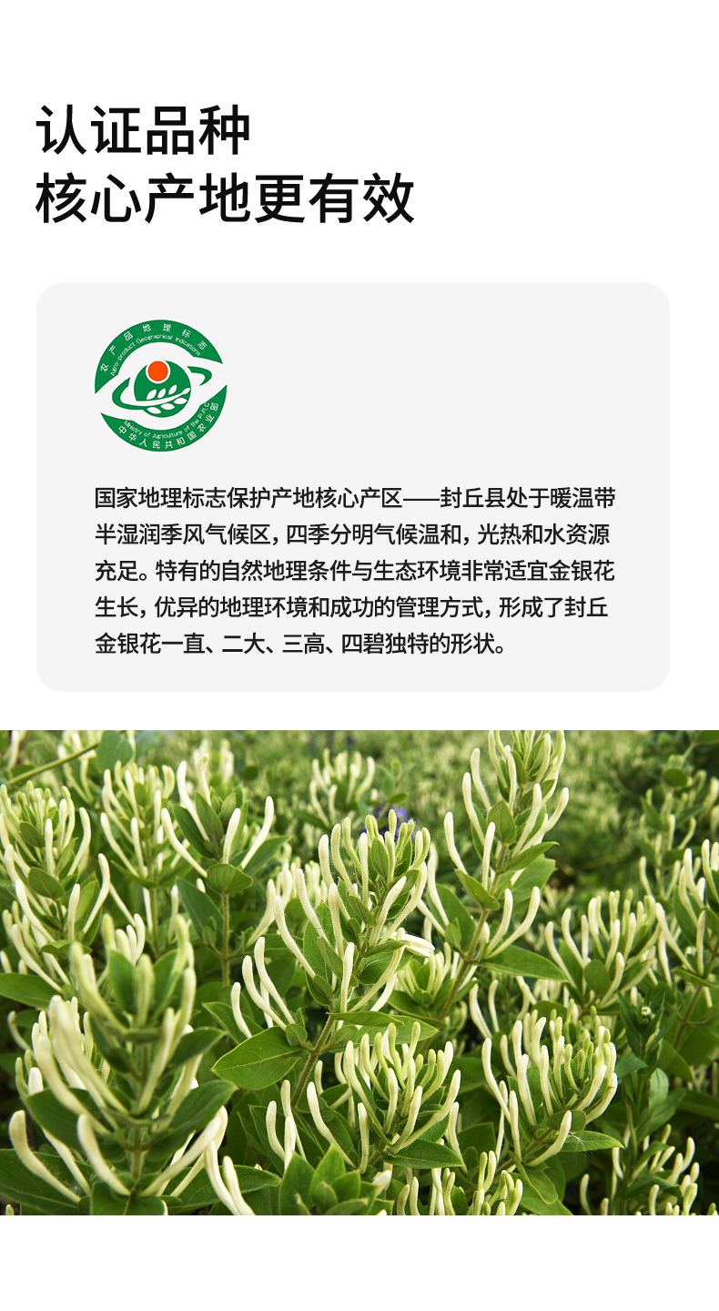 Honeysuckle Flower Tea Jin Yin Hua 80g Can Dried Herbal Tea for Daily Brewing quality and texture