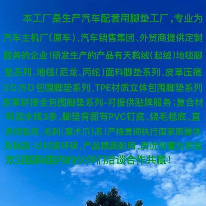 汽車脚垫工場传祺M6全包脚垫新款汽車脚垫全包特殊設計二層雪尼絲|undefined