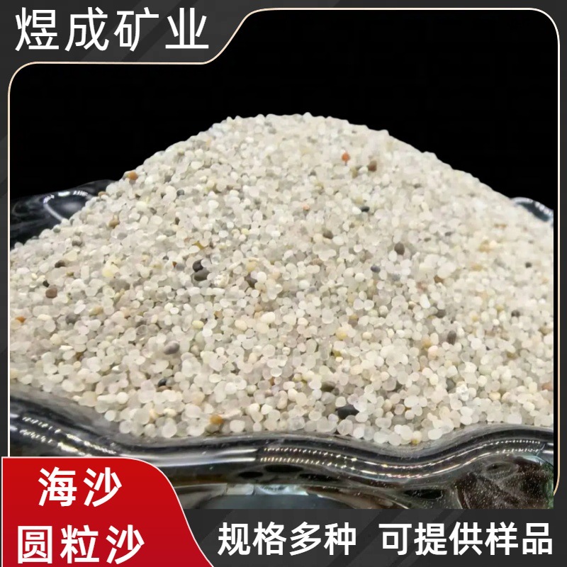 海沙厂家供应沙滩造景沙儿童娱乐沙池用无尘海沙 圆粒沙 铸造砂