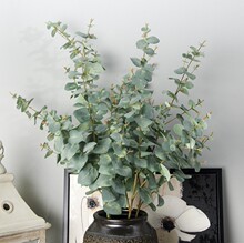 �L�U�����b�ë���[���~�X�ȼ����[�Ż��ܲ廨�ݻ���������¿�