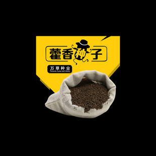 ��޽��N�����޽��N���ļ�����޽���~�Nֲ��ʳ��޽�������