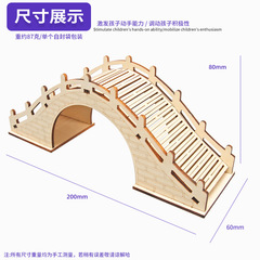 Small Arch Bridge Science Experiment DIY Student Craft Kit for Kindergarten Physics Science Education