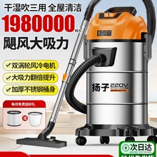 扬子工业吸尘器家用大吸力车用大功率保洁地毯装修美缝专用吸尘机