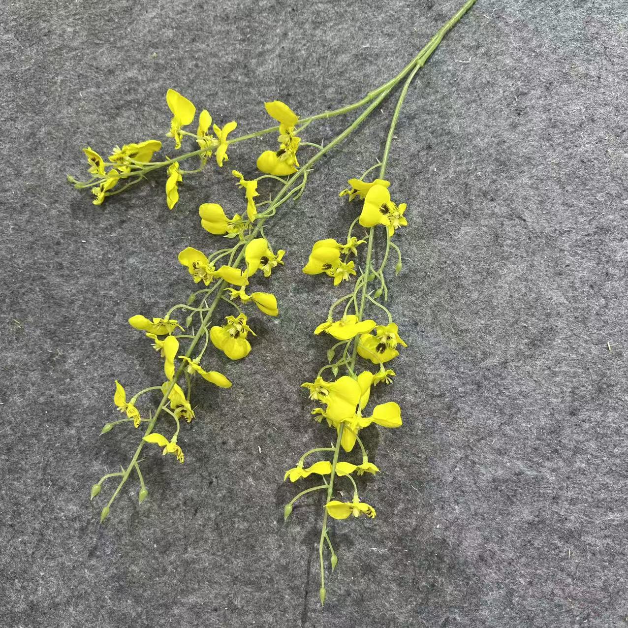 Dancing orchid yellow