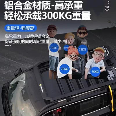 Roof rack — for the First-Generation Big Dog