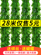 装饰遮挡绿植藤条藤蔓假树叶塑料花下水管道空调管子绿叶花藤