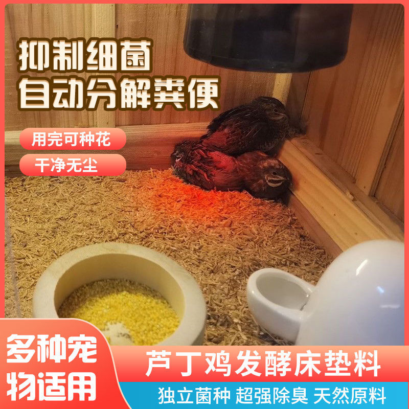 蘆丁雞墊料雞糞便分解菌種寵物兔倉鼠鵪鶉柯爾鴨除臭跨境獨立站