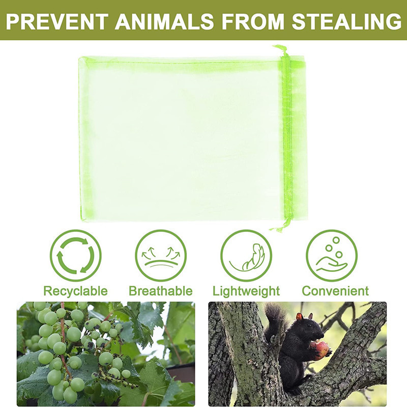 Amazon fruitprotection Bag果物ぶどういちご防虫防鳥ネットバッグ現物|undefined