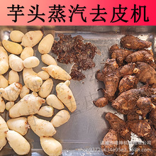 ô^ȥƤC ȫԄ^ƤC PtÓƤC