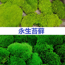 ����̦�\�װl�\����\�҃��쾰������̦�\ֲ���̦�辰���̠�