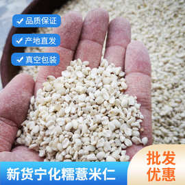 新货福建薏仁米宁化糯薏米农家新鲜薏米仁小薏仁米仁薏苡仁500g
