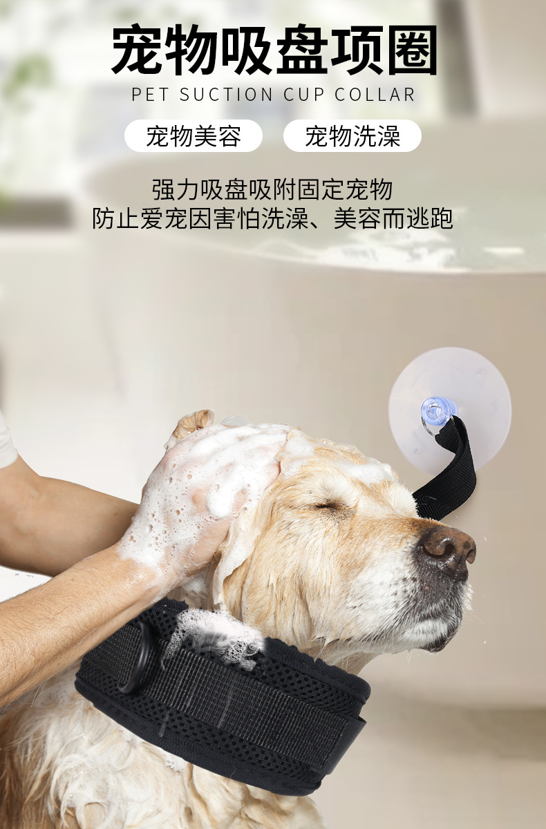 宠物吸盘项圈1.jpg