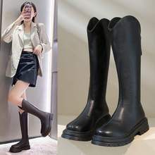 LͲѥŮ2025¿СӸͲѥӢLTʿѥﶬӽq@Ͳѥ