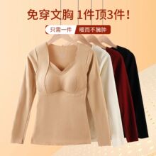 桑蚕丝长袖保暖套装免穿文胸加厚蓄热恒温内衣抗静电打底衫秋衣裤