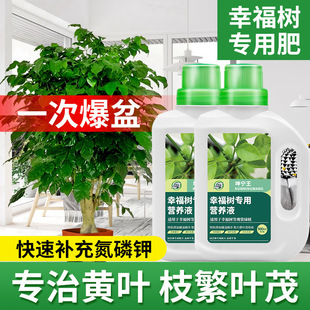 Nitrogen, Phosphorus and Potassium Flower Fertilizer, Green Plant Potted Plant Nutrient Solution, Flower Growing, Happy Tree, Indoor Leaves, Fallen Leaves, Crystal Mud, Others