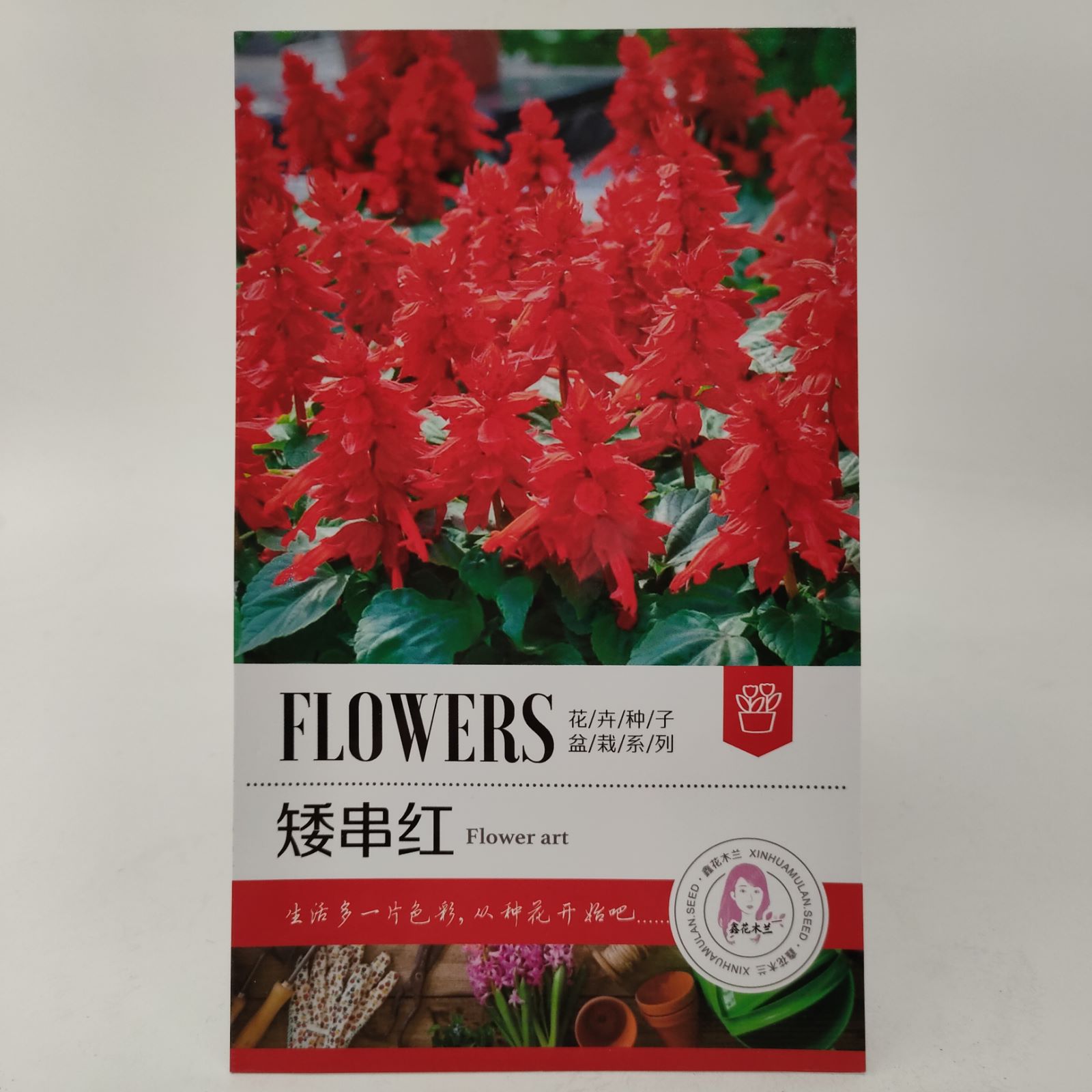 花种籽子四季播种开花凤仙花向日葵种孑易活室内外盆栽太阳花种子