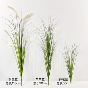 �����JȔ�� ��β�� ���[��Ӱ��zӰ�쾰���չ��̻�cܛ�b����ֲ��