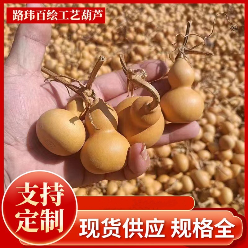 美国葫芦手把件批发文玩小葫芦摆摊热卖天然种植产地直销
