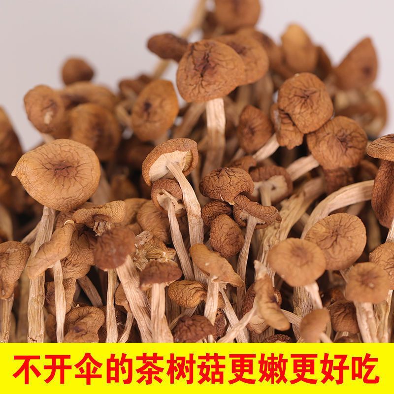 茶树菇干货不开伞福建古田农家干货批发新货菌菇菌包煲汤佳品混批