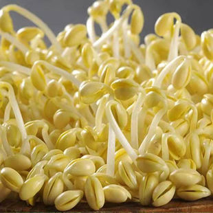 �lѿ�S�����S��ѿ���ݶ�ѿ��ˮ��ѿ��˷��D����lѿ�����S�����{