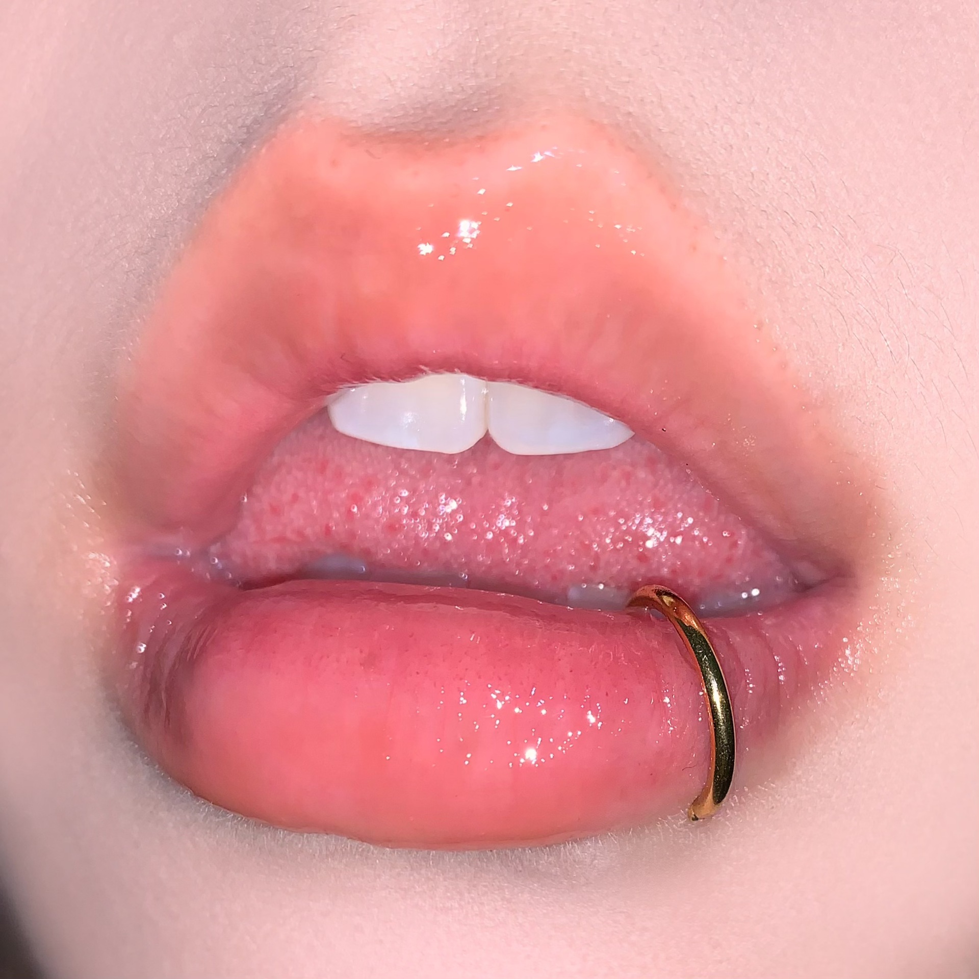 D-Ring Lip Ring Stainless Steel Titanium Snap-In Seamless Ring Lip Nail Ear Bone Nail Hot Girl Piercing Jewelry Wholesale detail image 8