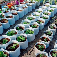 ֲ���ȫ���ϟo�����h���Nֲ���ڰנI�B����ֲ�����滨����ˏS��