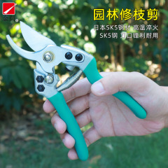 Golden sword garden shears, fruit branch shears, pruning shears, flower branch bonsai scissors, gardening scissors, branch scissors
