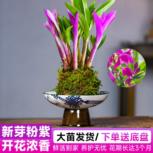 ��ˮʯ���mˮ����ī����ˮ�B����ֲ���҃ȿ͏d�k���һ��ܾGֲ����