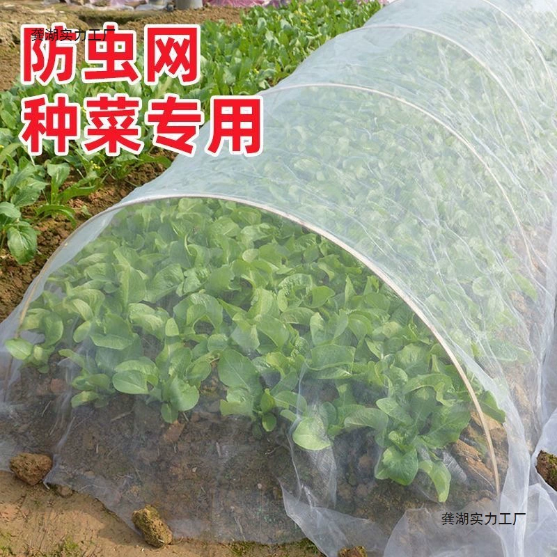 Специальная сетка от насекомых для выращивания овощей, сетка от насекомых 80 ячеек, шифрованная марлевая сетка для рассады овощей, овощные поля, сетка для сада, сетка от птиц для овощей.