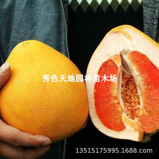 �޽����z���������֘����������Ә��������֘����Ե��Ԯ���Y��
