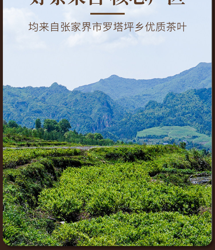 Wild Mei Tea Premium Bud Tip Vine Tea 500g Zhangjiajie Herbal Wellness Tea in use