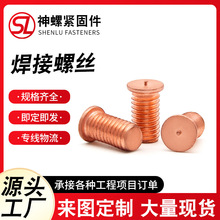 �ǫ�A�����ݽz�F����~�o�^������˨�c�������N�����ͨ���F���