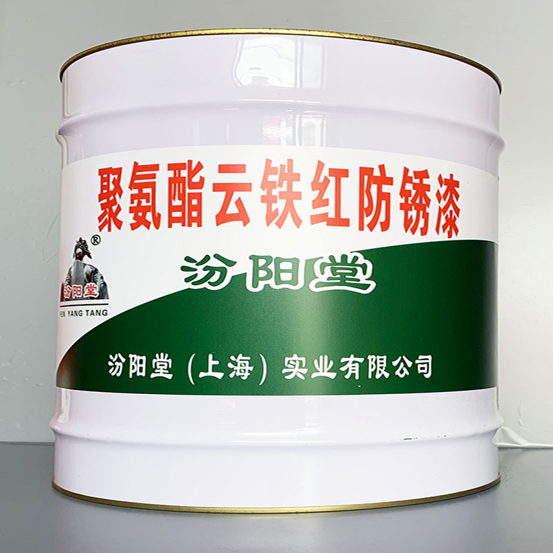 聚氨酯云铁红防锈漆、选汾阳堂牌、聚氨酯云铁红防锈漆、价格实惠