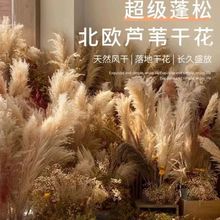 �W�t��Ȼ�JȔ�ٻ��Gֲ��β���̈�����ֲ���쾰�Ҿ����Ԕ[����